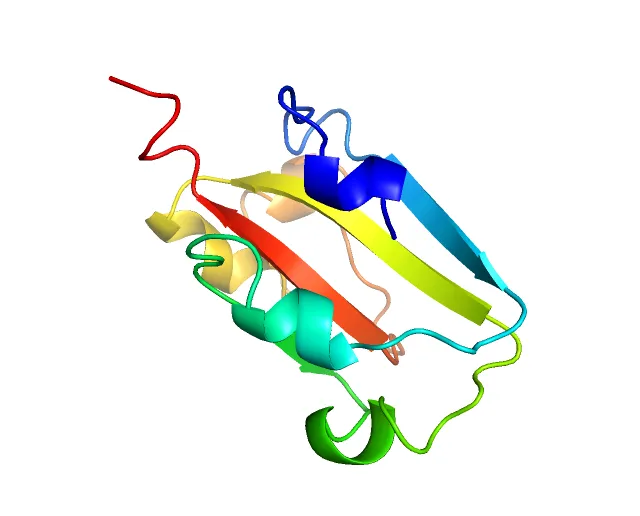 Omicron Spike Protein Structure